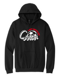Wadsworth Lady Grizzlies Soccer Ball Adult Unisex Hoodie