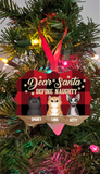 Personalized Custom Christmas Cat Naughty Ornament