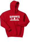 CIS Spirit Wear Youth Hoodie