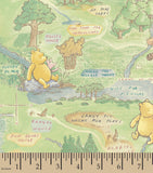 Classic Winnie the  Pooh -  Onesie or Shirt